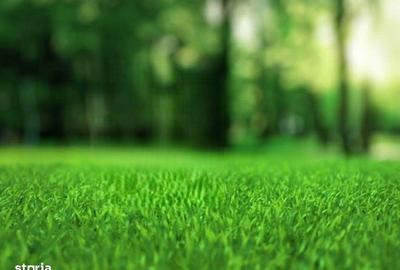 Spațiu comercial, în Micești - 6