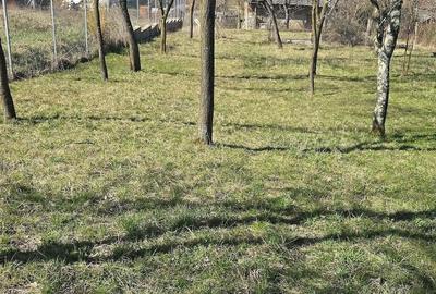 Casă cu Teren 33 Mp în Central - 2