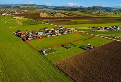 Teren Construcții intravilan de 18188 mp, în Exterior Est - 10