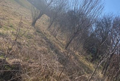 Teren Construcții intravilan de 2100 mp, în Feiurdeni - 5