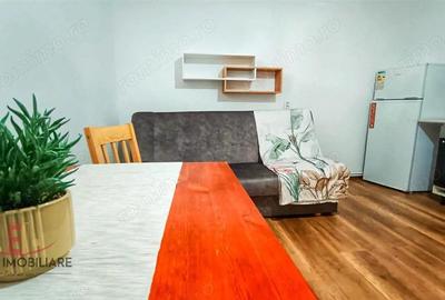 Garsoniera, 3 minute de UMF, Cornisa, Targu Mures - 12