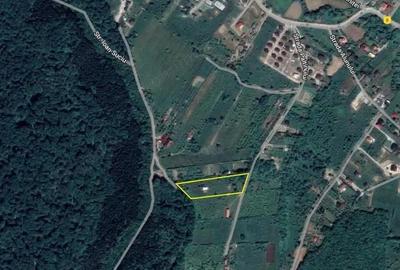 Teren de 4384 mp, în Nord - 4