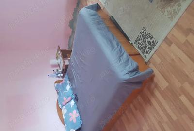 Casa de vinzare in comuna Baia -Tulcea - 2