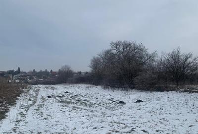 Teren Construcții extravilan de 35000 mp, în Petrăchioaia - 7