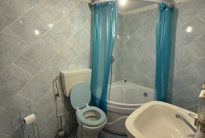 Casă individuală cu 6 camere cu Teren 386 Mp în Băișoara - 11