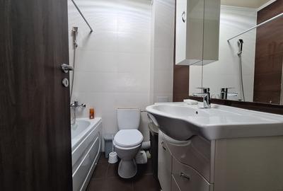 Apartament cu 2 camere decomandat, mobilat în Lipovei - 13