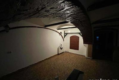 Spatiu comercial la 5 minute de centru Timisoara - 7