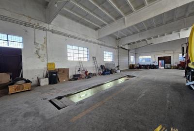 Hala 470 mp  cu platforma betonata de inchiriat,Sos de Centura Vest - 15