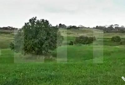 Teren de 4039 mp, în Borhanci - 5