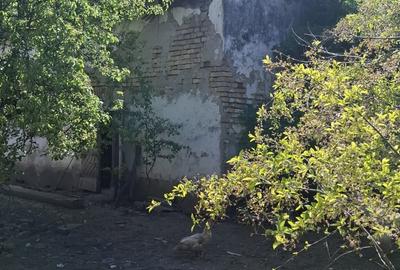 Casă individuală cu 3 camere cu Teren 1472 Mp în Nădlac - 12