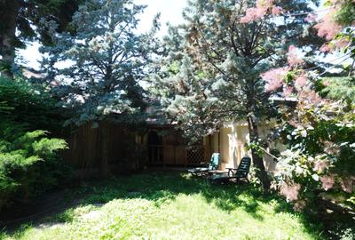 Oferta chirie casa noua  cu terasa gradina si garaj 3 masini Damaroaia Bucuresti - 8