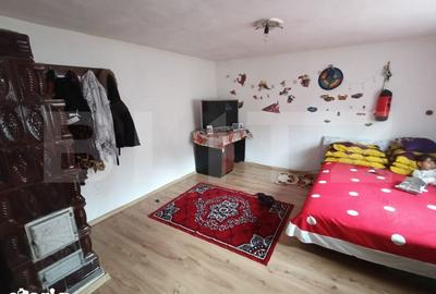 Casă cu 5 camere cu Teren 2482 Mp în Pianu - 10