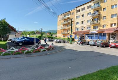 Apartament 3 camere decomandate 85 mp parter 2 balcoane Stejarului - 5