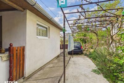Casă cu 3 camere cu Teren 2100 Mp în Vărădia de Mureș - 9