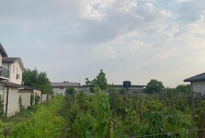 Vanzare  Teren Intravilan  3000mp  str  Stadionului Stefanesti de Jos - 7