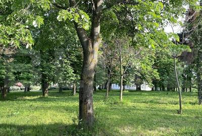 Cladire deosebita 550 mp, Popesti - 2