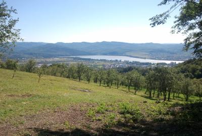 Teren livadă cu panoramă superbă Dealul Malului pentru casă sau cabană - 31