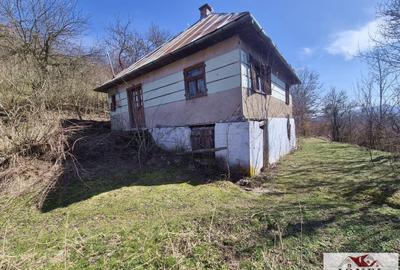 Casă individuală cu 6 camere cu Teren 1043 Mp în Bistra - 2