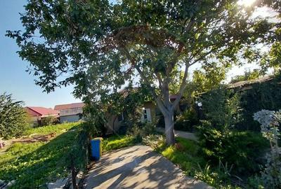 Casa de vanzare din caramida -Valul lui Traian - 9