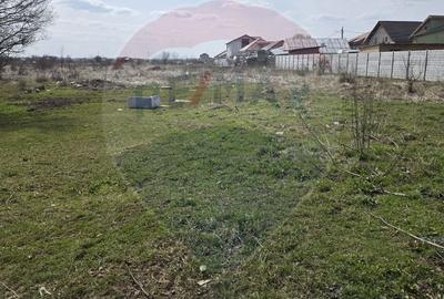 Spațiu comercial, în Balotești - 10