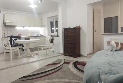 Apartament cu 4 camere semidecomandat în Gojdu - 17