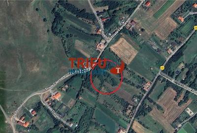 Teren intravilan 4600mp in Oarda de Sus - 6