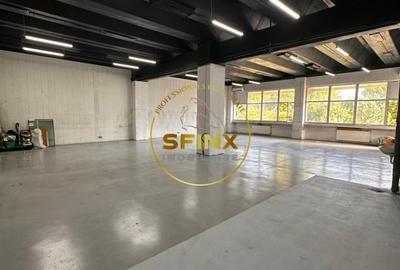 Spațiu industrial, de 180 mp, în Theodor Pallady - 3