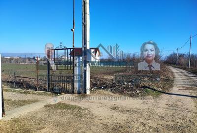 Teren Statia Meteo Balcescu/ 2 loturi de 5000 mp /Tecuci - 6