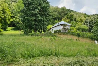 Teren de 7000 mp, în Ștubeie Tisa - 16