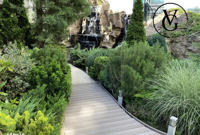 Studio | Herastrau North Lake - 9