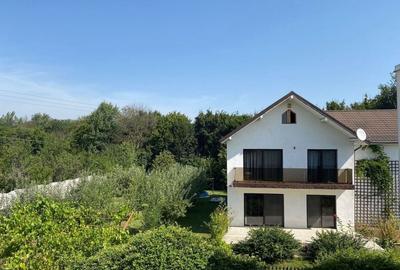 Casă cu 10 camere cu Teren 1140 Mp în Bascov - 4