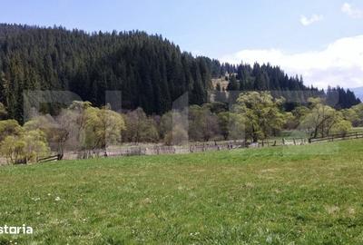 Spațiu comercial, în Central - 3