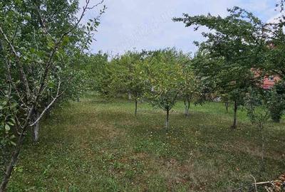 Casă cu 4 camere în Târnăveni - 6