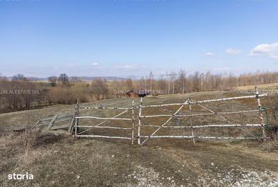 Spațiu comercial, în Sohodol - 8