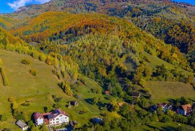 COMISION 0% Teren 11,381 mp Moieciu de Jos / Oportunitate... - 15