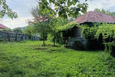 Casă individuală cu 5 camere cu Teren 1200 Mp în Lopătari - 2