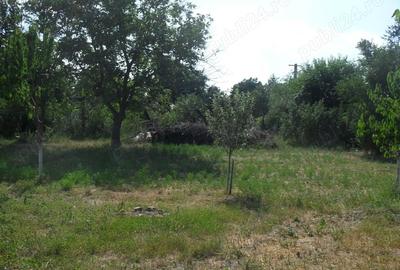 Casă cu 3 camere în Stoicănești - 1