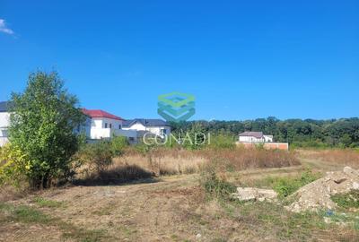 Teren de vanzare - Voluntari - zona Matei Millo - 5