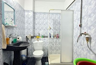 Casă individuală cu 5 camere cu Canalizare în Beregsău Mare - 9