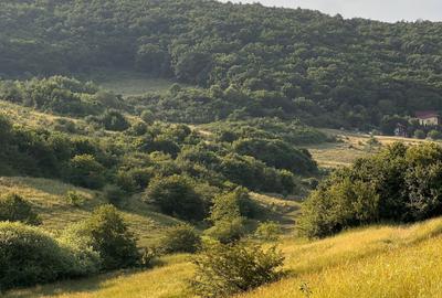 Teren de 500 mp, în Florești - 4