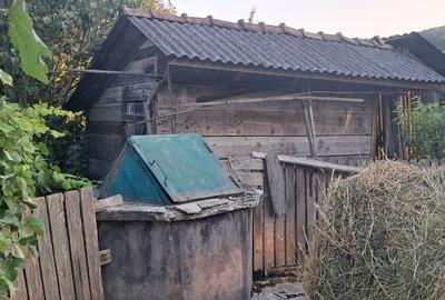 Casă individuală cu 3 camere cu Teren 1400 Mp în Rusu de Sus - 6