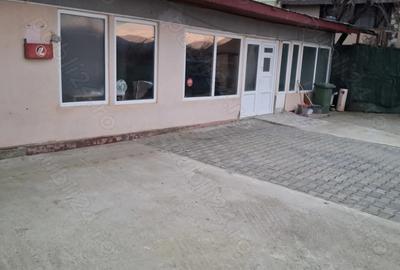 Spațiu comercial, de 70 mp, în Sătuc - 1