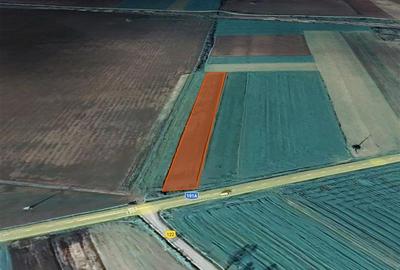Teren intravilan de 5935 mp, în Tăuteu - 2