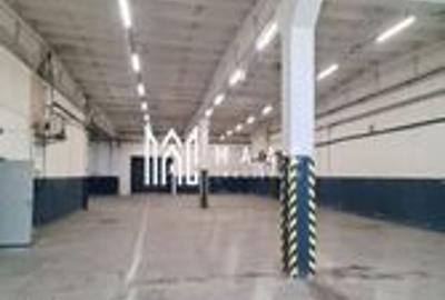 Hala Industrială I 570 mp I Acces Tir I Stefan Cel Mare - 3