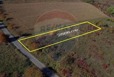 Teren agricol intravilan de 2556 mp, în Pădureni (Chinteni) - 11