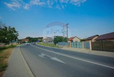 De vanzare Casa cu 2 camere si 1477 mp teren in Sanmartin - 4