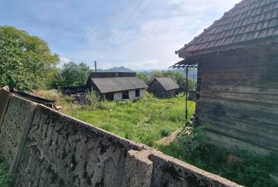 Casă cu 2 camere în Bănița - 4