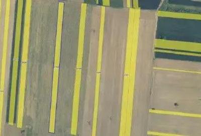 Teren Extravilan Albesti Paleologu, ID: R2586757 - 4