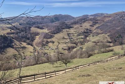 Casă individuală cu 6 camere cu Teren 1043 Mp în Bistra - 9