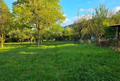 Teren intravilan de 2500 mp, în Breaza de Jos - 9